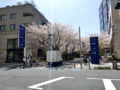 Sunny day in Roppongi Hills