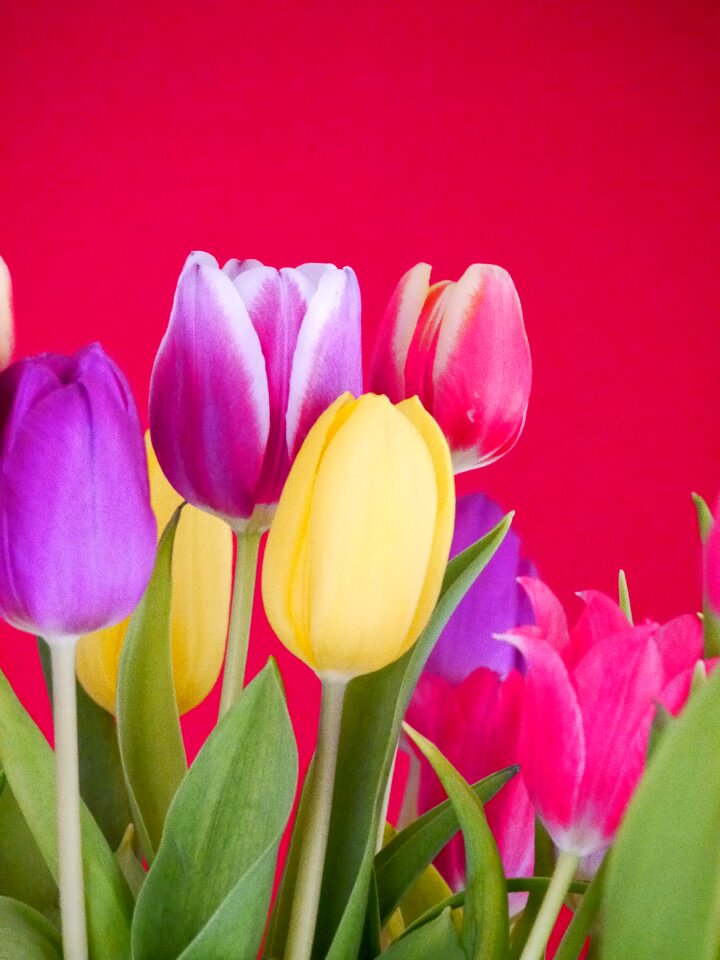 Federal government spring bloom