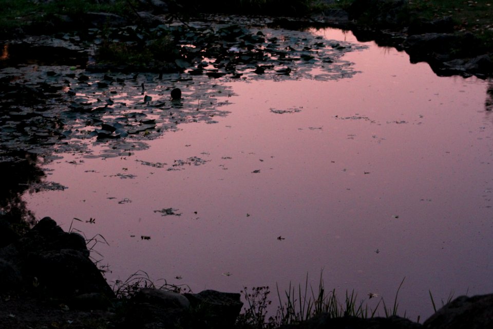 Sunrise and rain, Teen Ranch