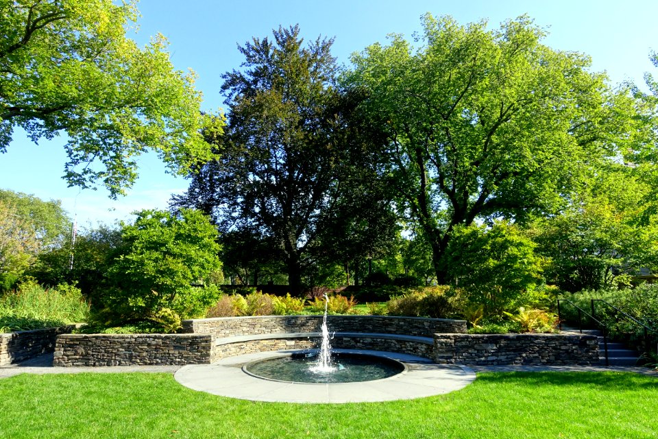 Sunken Garden - Radcliffe Yard - Cambridge, MA - DSC06451
