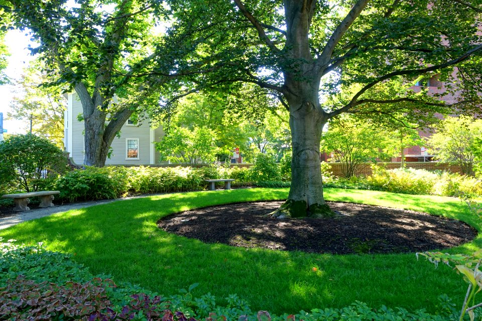 Sunken Garden - Radcliffe Yard - Cambridge, MA - DSC06455