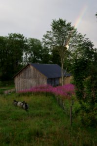 Suntak Sweden 02