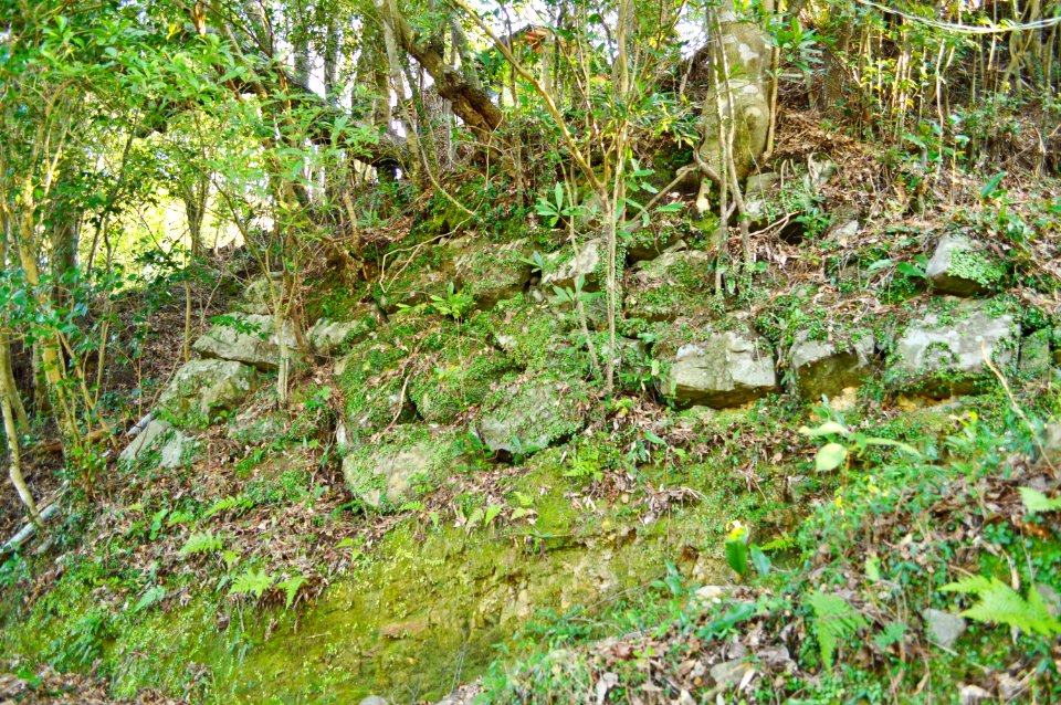Sukumo Castle, ishigaki