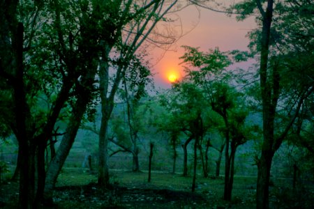 Sunrise Jpg (208951371)