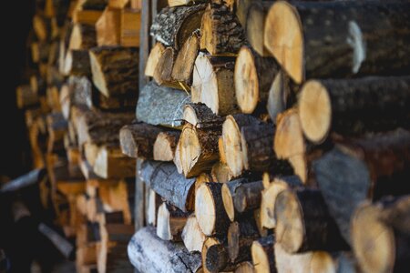 Outdoors pile wood photo