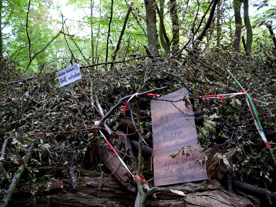 Sukkah in the Hambach forest