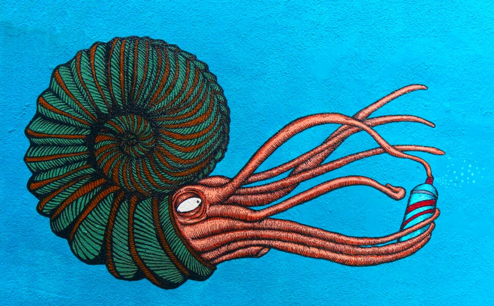 Nautilus aerosol graffiti