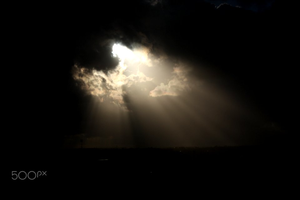 Sun Light (150705965)
