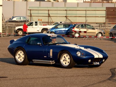 SuperFORMANCE COBRA Coupe dutch licence registration AL-73-46 pic2