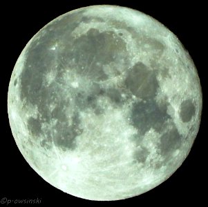 Super Moon November 14 15 2016 1 30 A M Austria (183071159) photo