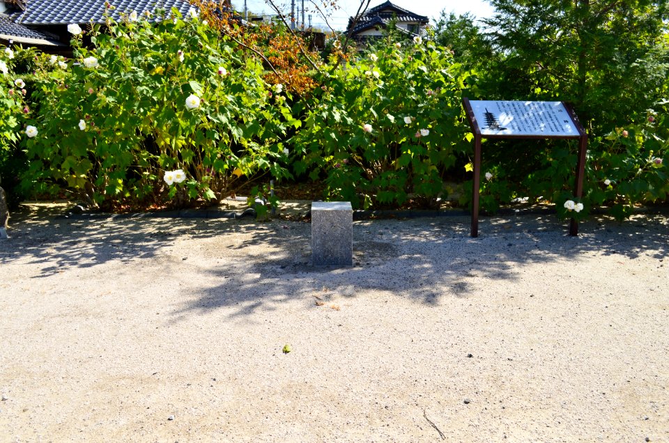 Suo Kokubunji, tou-ato