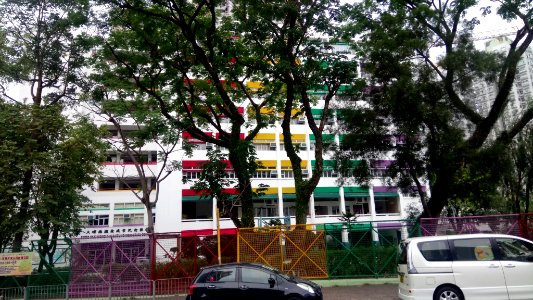 SungTakWongKinSheungSchool