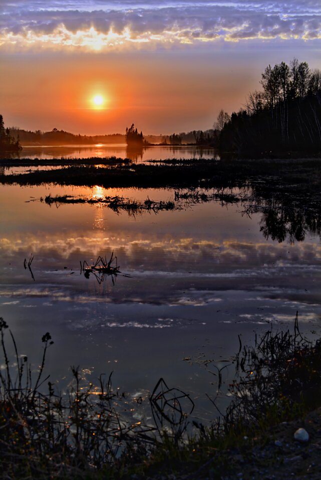 Lake trees reflections photo