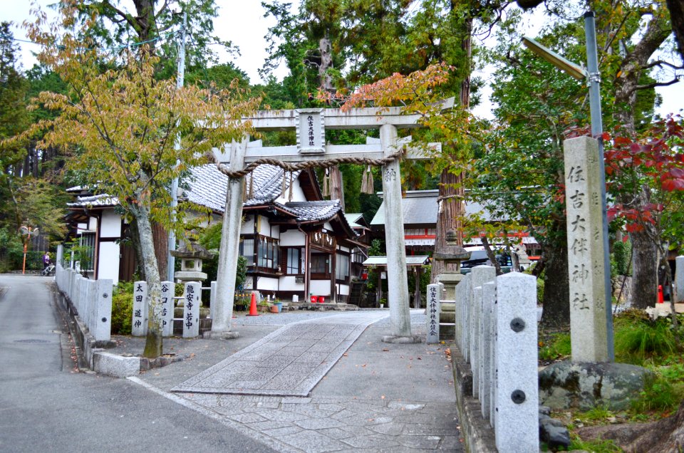 Sumiyoshi Otomo-jinja, torii