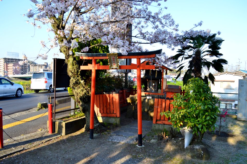 Sukunakawata-jinja, keidaisha