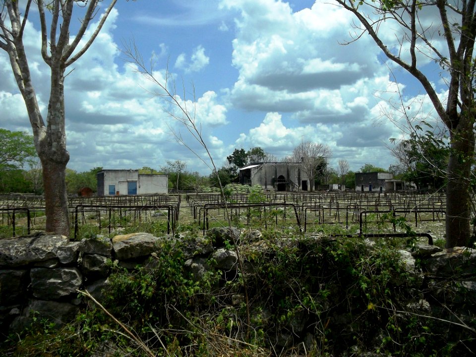 Suma de Hidalgo, Yucatán (03)