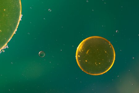 Texture macro oil