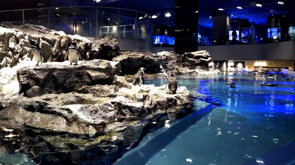 Sumida-Aquarium-1