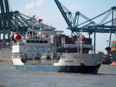 Sulphur Genesis - IMO 9511789, Berendrechtsluis pic2