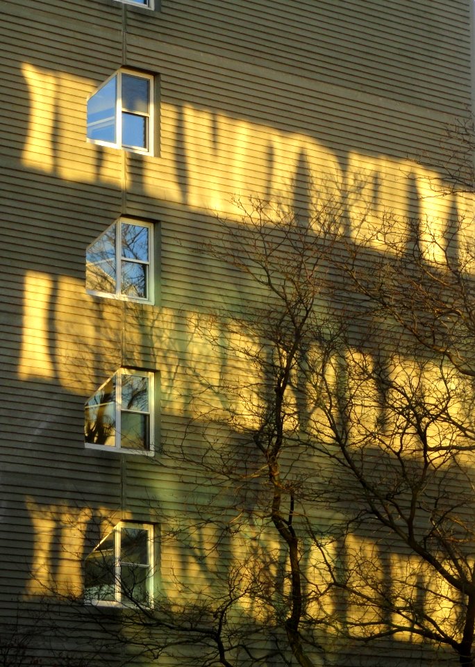 Sunset time - Cambridge, MA - DSC03132
