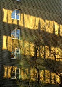 Sunset time - Cambridge, MA - DSC03132