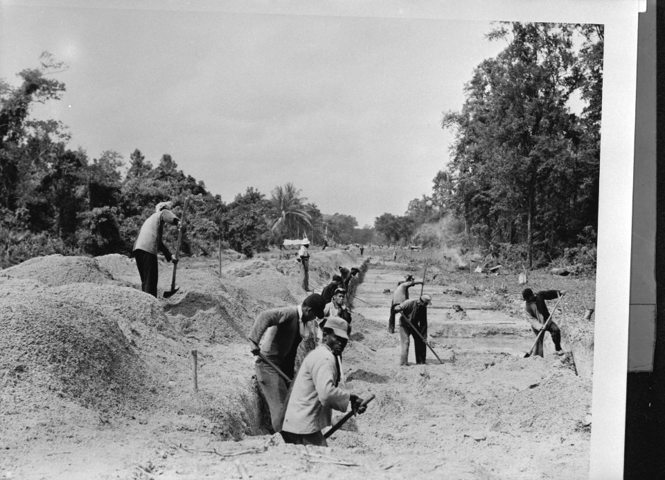 Suriname. Oud Opschrift Convicts, mostly Javanese and Negro, building a new road, Bestanddeelnr 935-1485