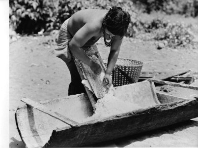 Suriname. Galibi. Indiaans dorp, Bestanddeelnr 935-1310