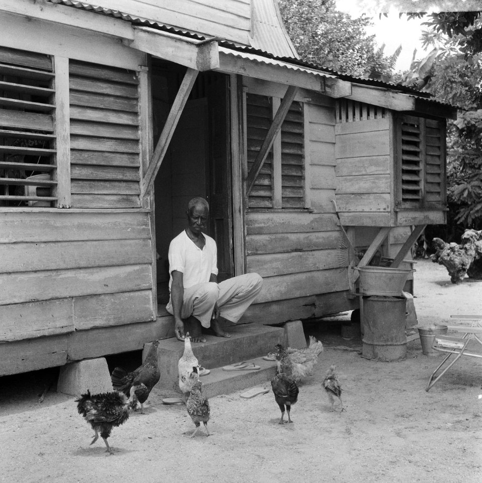 Suriname, Surinamer voor zijn huis met kippen, Bestanddeelnr 920-3676