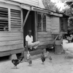 Suriname, Surinamer voor zijn huis met kippen, Bestanddeelnr 920-3676