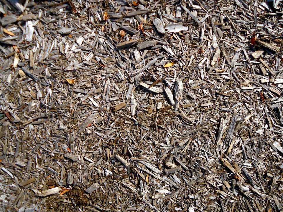 Surfaces woody mulch broken sticks on the ground