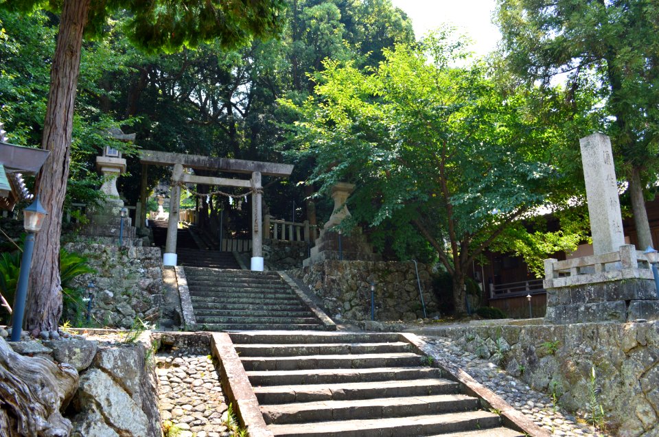 Susa-jinja (Arida) torii
