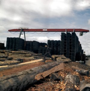 Suriname (straatbeelden, industrie, politiek, mensen etc. industrie houtindustr, Bestanddeelnr 254-9642
