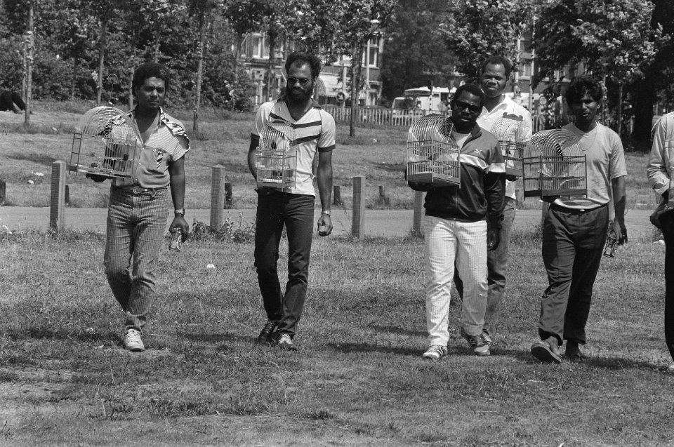 Surinamers met kooien met zangvogeltjes buiten op het Malieveld, Bestanddeelnr 934-0338