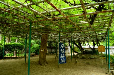 Sumiyoshi-jinja (Akashi), fuji