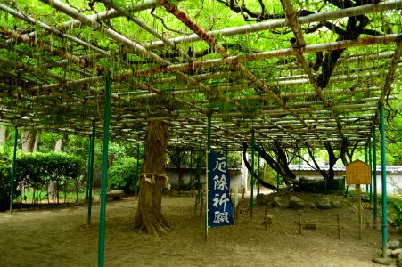 Sumiyoshi-jinja (Akashi), fuji photo