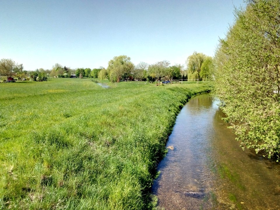 Sulzbach-Sasbach (und Scheidgraben) bei Stollhofen