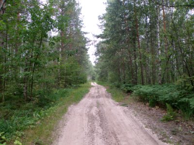Svyatoe road