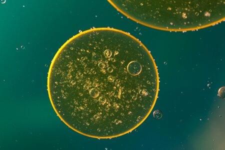 Texture macro oil