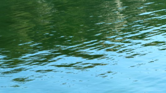 Surface of Brofjorden