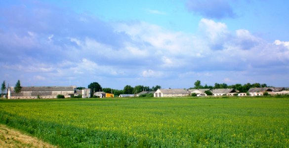Surviliškio bendrovė