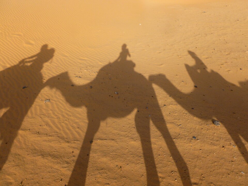 Morocco sahara erg chebbi
