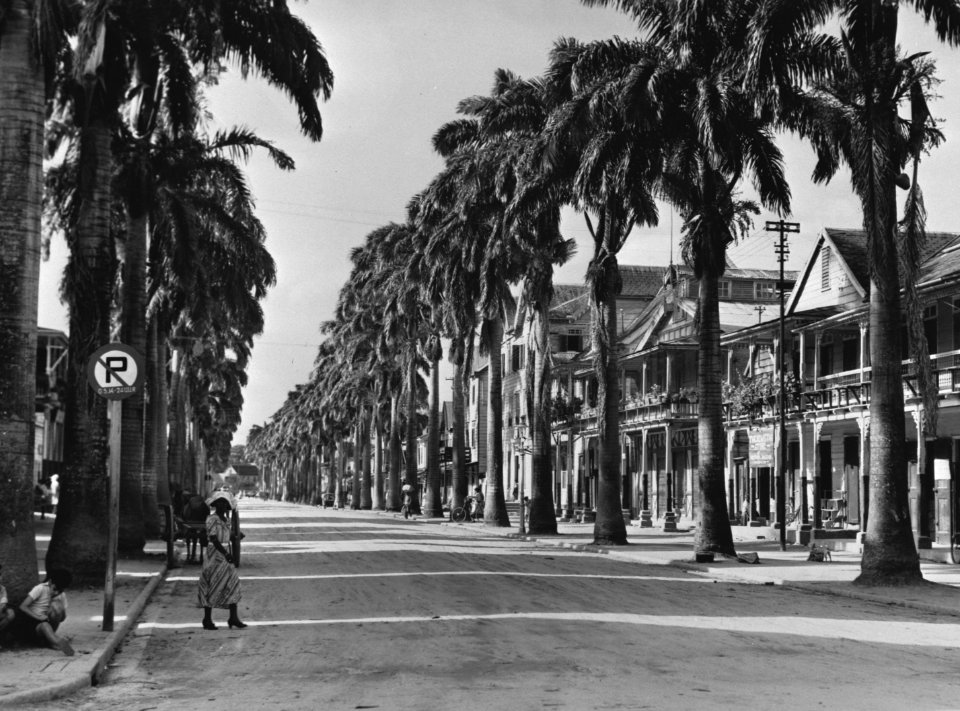 Suriname. Parimaribo. Hoofdstraat met palmen, Bestanddeelnr 935-1490