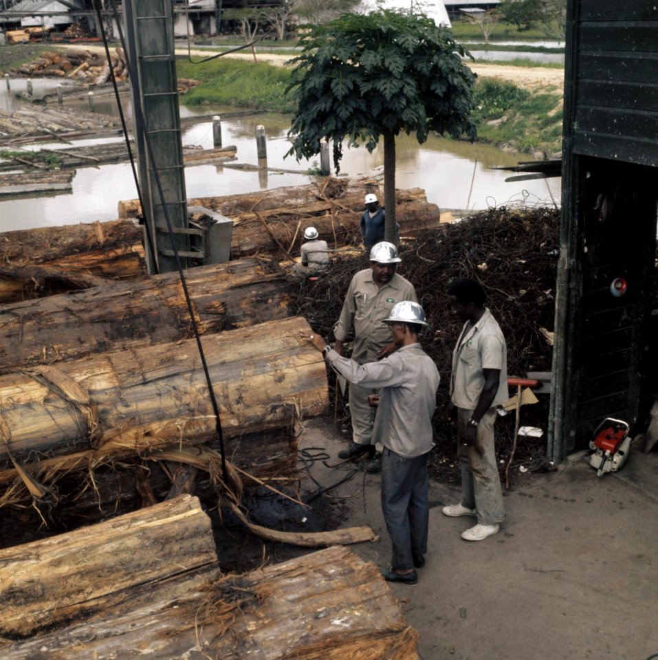 Suriname (straatbeelden, industrie, politiek, mensen etc. industrie houtindustr, Bestanddeelnr 254-9644