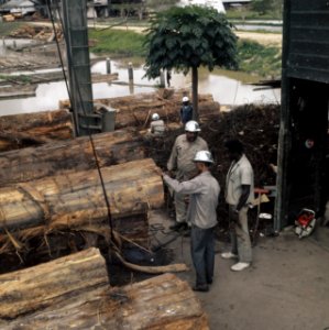 Suriname (straatbeelden, industrie, politiek, mensen etc. industrie houtindustr, Bestanddeelnr 254-9644