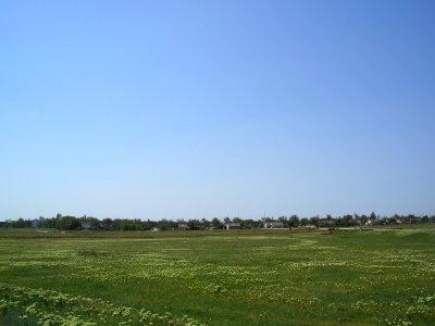 Svetloe 2