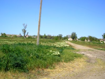 Svetloe Crimea 5