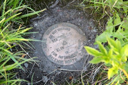 Survey marker on Waterrock Knob's summit, May 2017