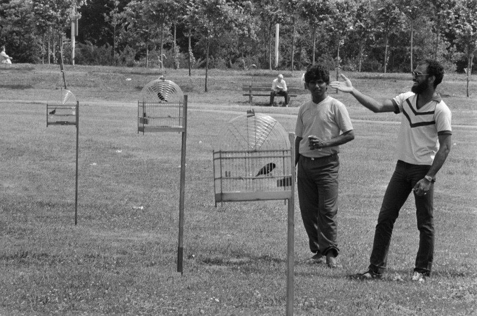 Surinamers zetten kooien met zangvogeltjes buiten op het Malieveld, Bestanddeelnr 934-0337