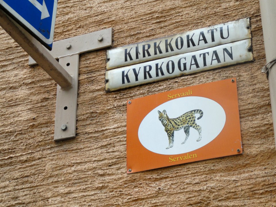Svenska litteratursällskapet hus detail (Helsinki) - DSC05342