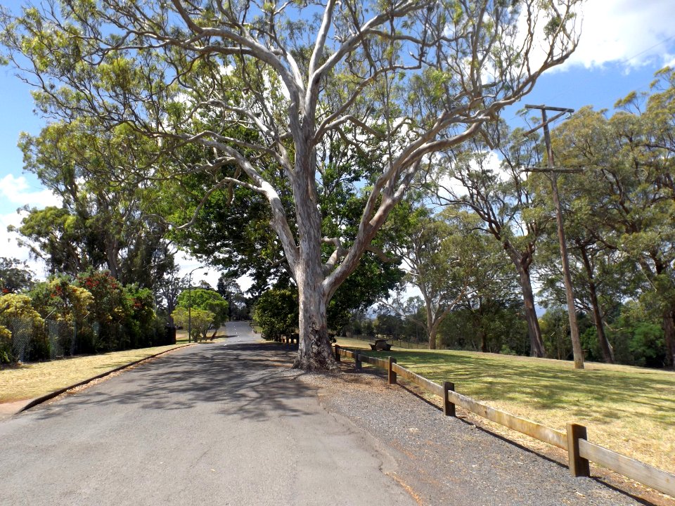 Suttlewood Court Mount Kynoch